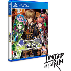 Wizards Of Brandel PS4