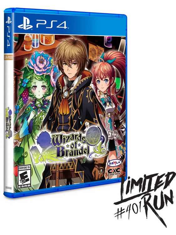 Wizards Of Brandel PS4