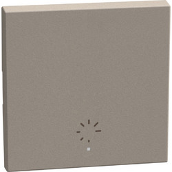 Πλήκτρο 2 Στοιxείων Dimmer Stone Light Now