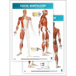 FASCIAL MANIPULATION ΑΦΙΣΕΣ SECOND LEVEL