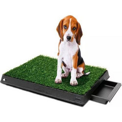 Nunbell Pet Εκπαιδευτική Τουαλέτα Σκύλου 51x63cm