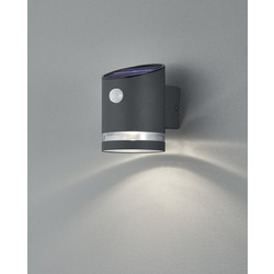 Trio Lighting Salta R22231142