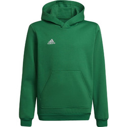 Adidas Entrada 22 Παιδικό Φούτερ με Κουκούλα Κυπαρισσί HI2143