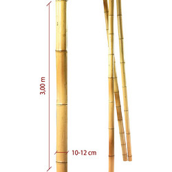 Μπαμπού ιστός - καλάμι Φυσικός 10-12cm x 3m 228.009.0005.15