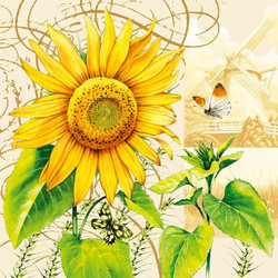 ΧΑΡΤΟΠΕΤΣΕΤΑ TOURNESOL 33X33 - ΣΥΣΚΕΥΑΣΙΑ 20τμχ