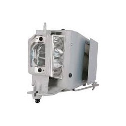 EC.J0101.001 - progen