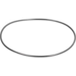 BOSCH F 00N 202 726 - BOSCH ΣΤΕΓΑΝΟΠΟΙΗΤΙΚΟΣ ΔΑΚΤΥΛΙΟΣ