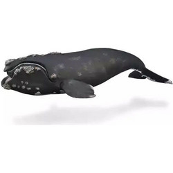 Collecta Φάλαινα 88740