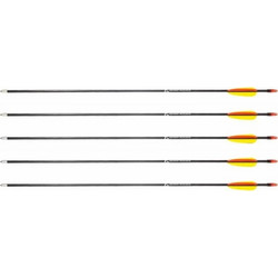 Poe Lang 28' fibreglass arrows - set of 5 (D-055-B3) D-055-B3