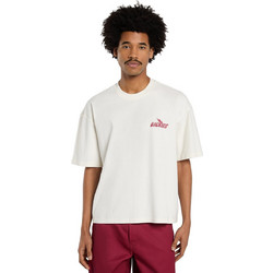 DICKIES SHONTO SS TEE DK0A8CCLC48-C48 Εκρού