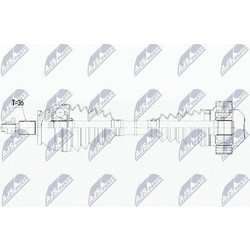 NTY NPW-WW-163