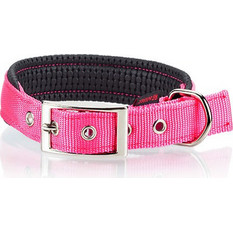 Pet Interest Neoprene Standard Fluo Κολάρο Σκύλου Ροζ 2.5x55cm
