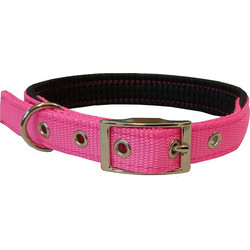 Pet Interest Neoprene Standard Fluo Κολάρο Σκύλου Φούξια 2.5x55cm