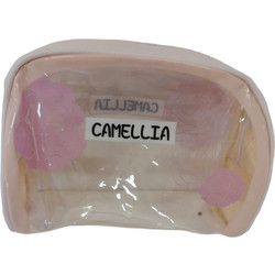 Camelia BAG538A Γυναικείο Νεσεσέρ Διαφανές