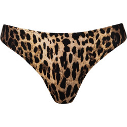 Rock Club Bikini String Animal Print Καφέ BP-3383