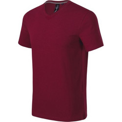 Malfini Action Ανδρικό Αθλητικό T-Shirt Μπορντό MLI-70086