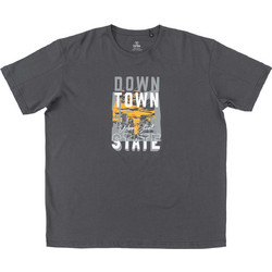 Brille Down Town Max Ανδρικό Αθλητικό T-Shirt Ανθρακί SD240927-DGRY