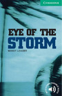 Eye of the Storm Level 3 Eye of the Storm Level 3