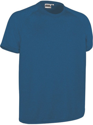 Valento Revolution Ανδρικό Αθλητικό T-Shirt Royal Blue 60341329