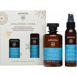 Apivita Hyaluronic Hydra Σετ Περιποίησης Μαλλιών Leave In Conditioner 100ml + Σαμπουάν 250ml