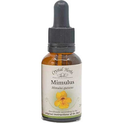 Crystal Herbs Mimulus Ανθοΐαμα σε Σταγόνες για Άγχος & Φόβο 25ml