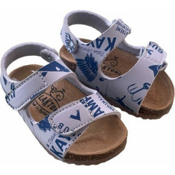 Plakton Estampado Gris 31 Παιδικά Πέδιλα για Αγόρι Ανατομικά Λιλά Navy Μπλε 855571
