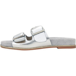 Gianna Kazakou Nettel Γυναικεία Σανδάλια Suede Ασημί AK7571.L20959GK2.DS