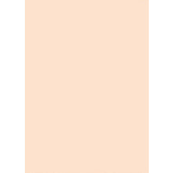 Canson Colorline Χαρτόνι Κανσόν Σομόν 50x70cm 105741147