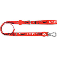 Dashi Olive Oyl Λουρί Σκύλου 1.2m x 20mm Κόκκινο