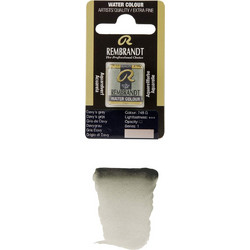 Royal Talens Rembrandt 748 Davy's Grey Νερομπογιά 11-586-748
