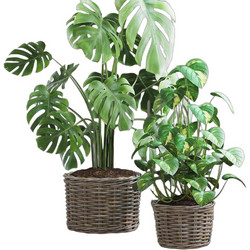 vidaXL Σετ Κασπώ Καλάθια Rattan Γκρι 2τμχ