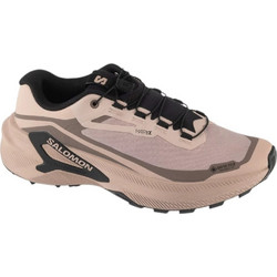 Salomon Genesis 2 Γυναικεία Αθλητικά Παπούτσια Trail Running Ροζ L45388300