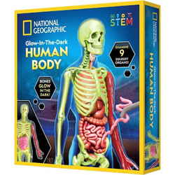 National Geographic Glow in The Dark Human Body Science Kit