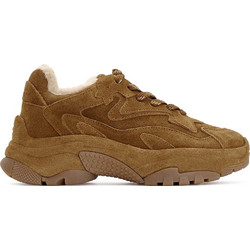 ASH F26-Addictbisfr2 Γυναικεία Sneakers Chunky Ταμπά FW26-S-151682-002
