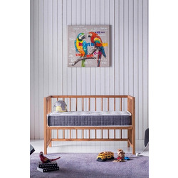 Stewe Home Natural Ορθοπεδικό Στρώμα Foam Λίκνου 50x80x10cm 5484
