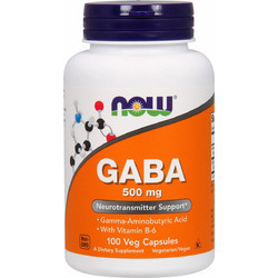 Now Foods GABA 500mg 100 Κάψουλες