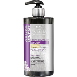Yanni Extensions Silver Σαμπουάν για Προστασία Χρώματος & Φριζάρισμα για Βαμμένα Μαλλιά 500ml