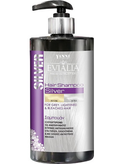 Yanni Extensions Silver Σαμπουάν για Προστασία Χρώματος & Φριζάρισμα για Βαμμένα Μαλλιά 500ml