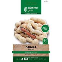 Αραχίδα (Αράπικο φυστίκι)