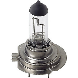 Lampa H7 Αλογόνου 24V 70W 1τμχ