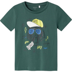 Name It Παιδικό T-Shirt Κοντομάνικο Κυπαρισσί 13226080