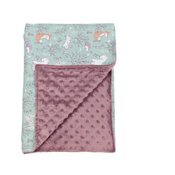 Baby Star Κουβέρτα Αγκαλιάς Βελουτέ 75x100 Μωβ Πράσινη Mint
