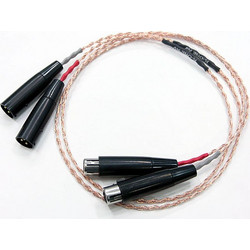 Kimber Timbre Balanced - 0.5m