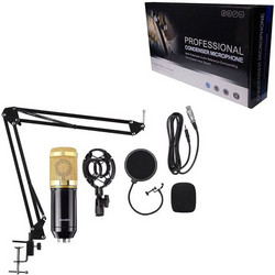 Επαγγελματικό Πυκνωτικό Μικρόφωνο - Professional Condenser Microphone 15580