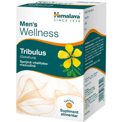 Himalaya Tribulus Men's Wellness 60 Ταμπλέτες