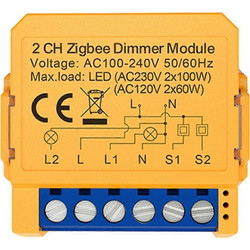 Smart socket switch ZigBee Avatto ZDMS16-2 TUYA