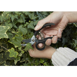 Kikkerland - Garden Shears (CD526)