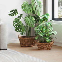vidaXL Gendt Σετ Κασπώ Rattan Καφέ 2τμχ 42020964