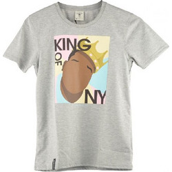 CAYLER & SONS Men Wl A Dream Tee - GREY HEATHER - WL-AW17-AP-23