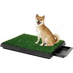 Τουαλέτα Κατοικιδίων Pet Potty 64X51 cm